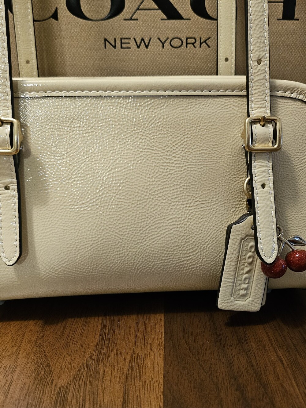 NWT COACH Swing Zip 20 in Moonlight - Picture 3 of 5
